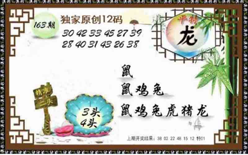 12码中特预测