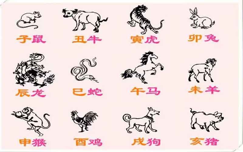 三肖三码必中