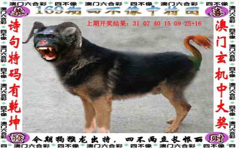 四不像中特图