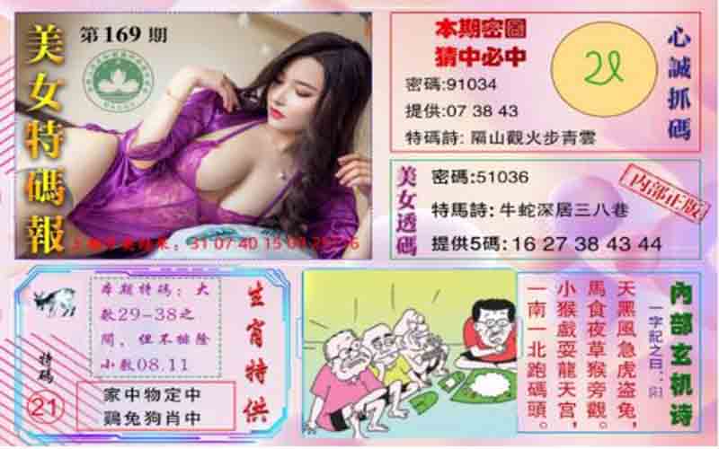 四不像美女图