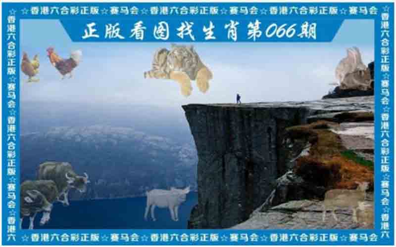 四肖中特的中奖技巧