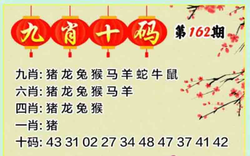 九肖十码